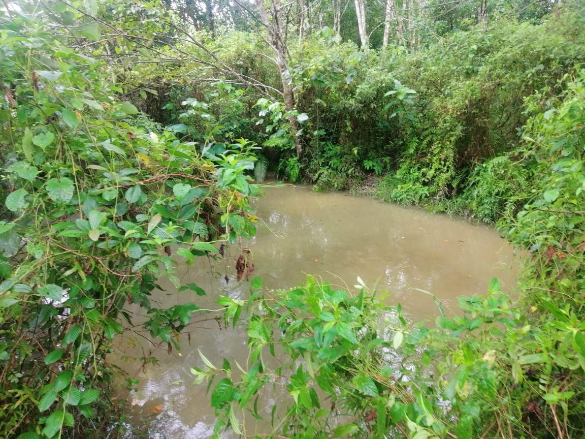0.57 Hectare Agricultural Land For Sale At Mukim Teloi Kanan Baling Kedah - Image 1