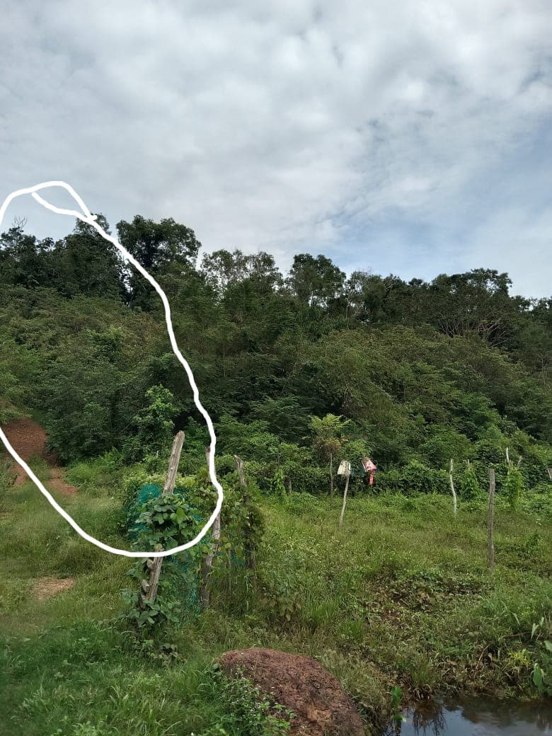 Freehold Land For Sale At Si Rusa Port Dickson Negeri Sembilan - Image 1