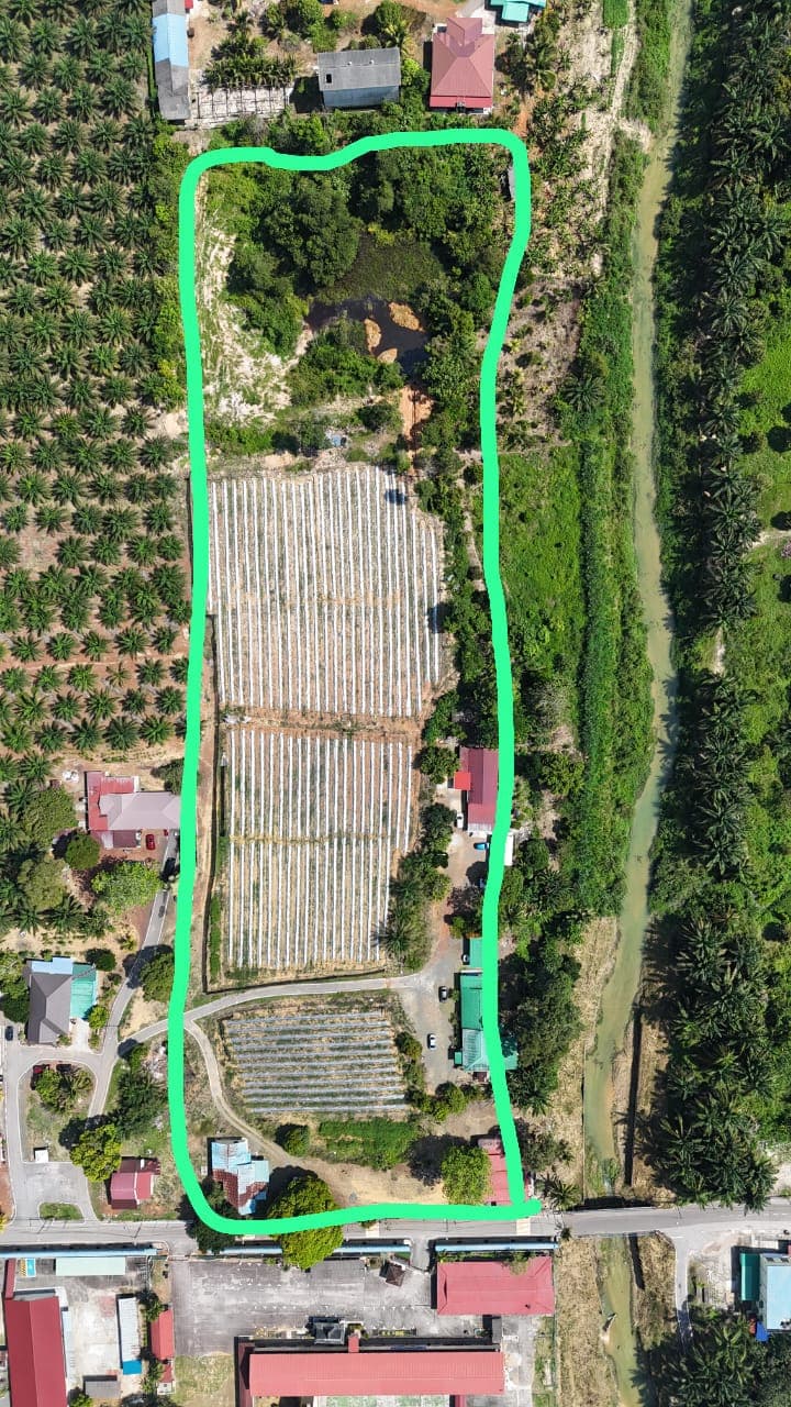 Agricultural Land For Sale At Mukim Cha'ah Johor - Image 1