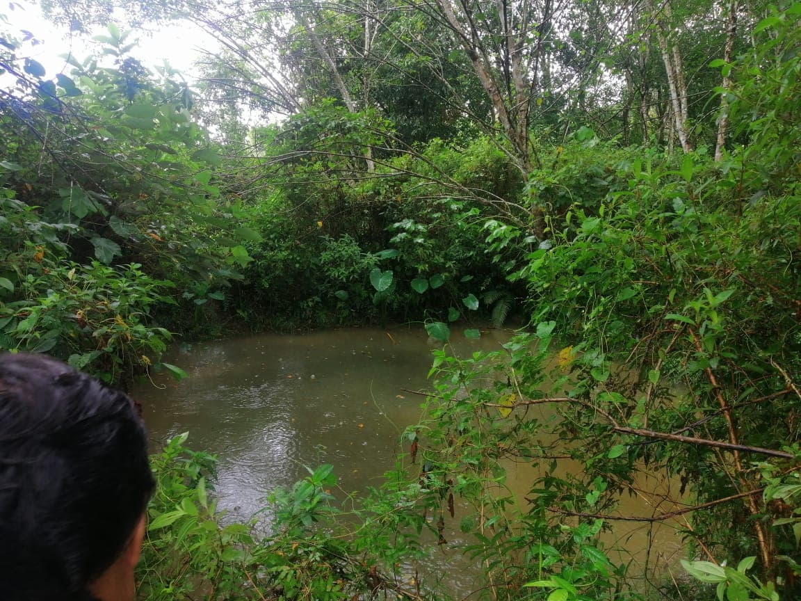 1.25 Acres Agricultural Land For Sale At Mukim Jeram Kuala Selangor Selangor - Image 2